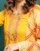 Sun Drape Printed & Embroidered Straight Kurta With Trouser & Dupatta Set