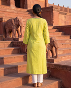 Roshni Set